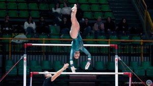 serie a1 sfe01225 copia ph simone ferraro